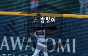 방망이 토토 신규사이트 먹튀 이력 조사중