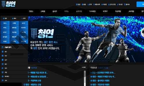 청연 신규사이트