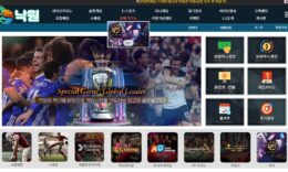 낙원 악질 먹튀사이트 먹튀폴리스에서 검거 완료 3.1 (18)