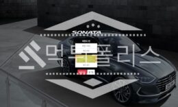 신규사이트 소나타 신규 SNT-777.COM 스포츠토토 먹튀폴리스 2.6 (22)